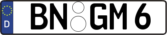BN-GM6