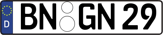 BN-GN29