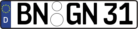BN-GN31