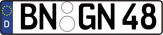 BN-GN48
