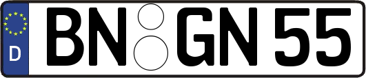 BN-GN55