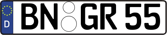 BN-GR55