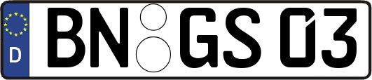 BN-GS03