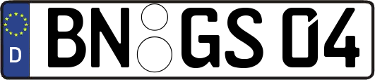 BN-GS04