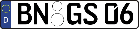 BN-GS06
