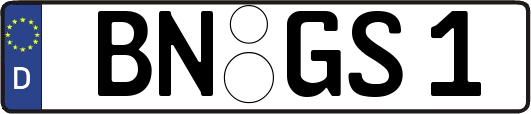 BN-GS1