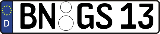 BN-GS13