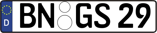 BN-GS29