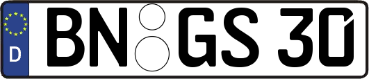 BN-GS30