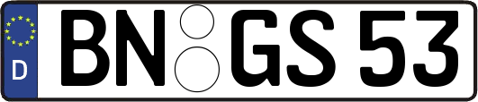 BN-GS53