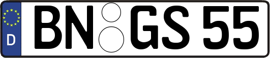 BN-GS55