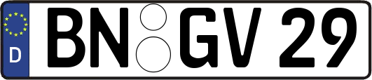 BN-GV29