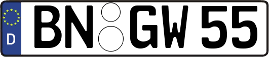 BN-GW55