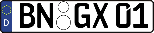 BN-GX01