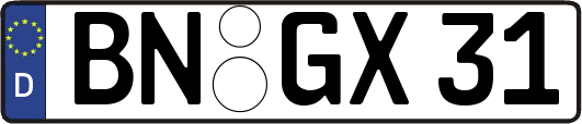 BN-GX31