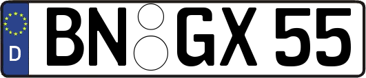 BN-GX55