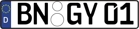 BN-GY01
