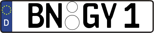 BN-GY1