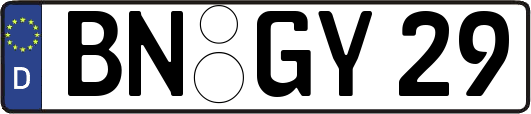 BN-GY29