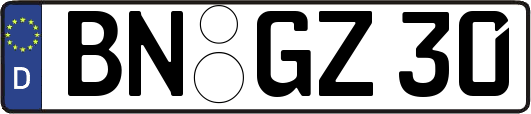 BN-GZ30
