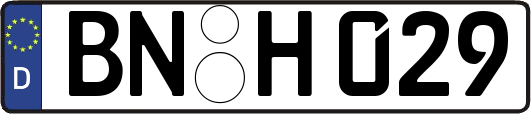 BN-H029