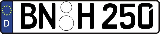 BN-H250