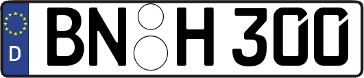 BN-H300