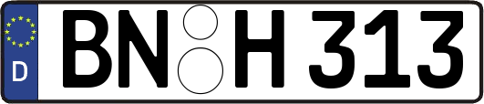 BN-H313