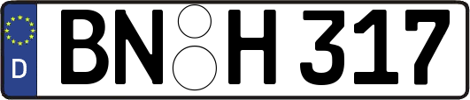BN-H317
