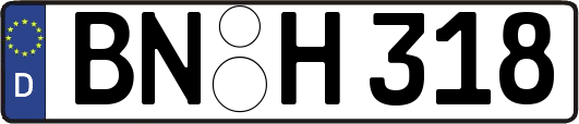 BN-H318