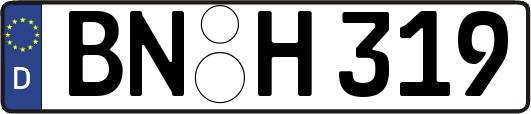 BN-H319