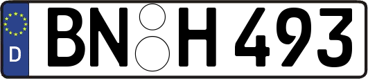 BN-H493
