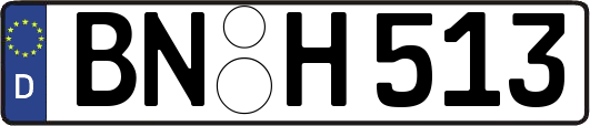 BN-H513