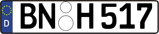 BN-H517