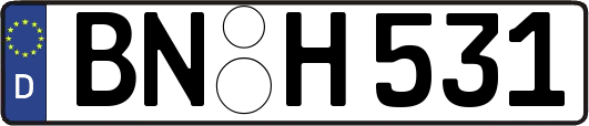 BN-H531