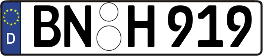 BN-H919