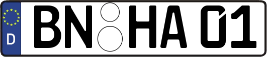 BN-HA01