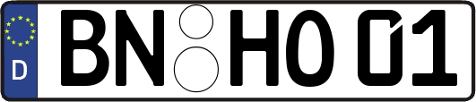 BN-HO01