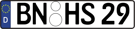 BN-HS29