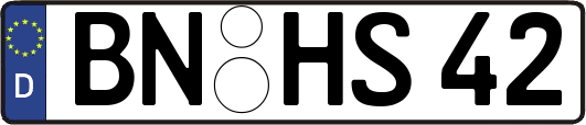 BN-HS42