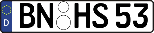 BN-HS53