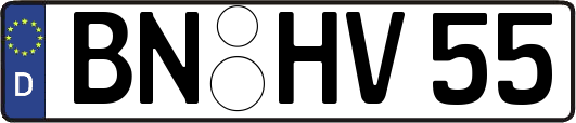 BN-HV55