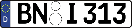 BN-I313