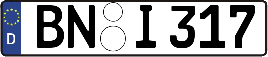 BN-I317