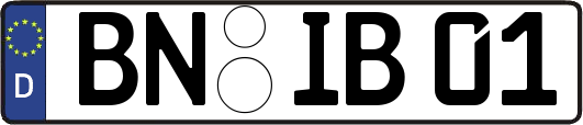 BN-IB01