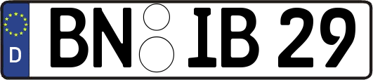 BN-IB29