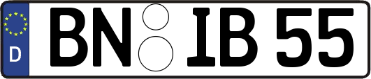 BN-IB55