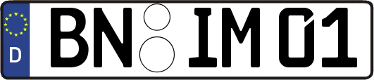 BN-IM01