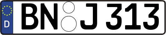 BN-J313