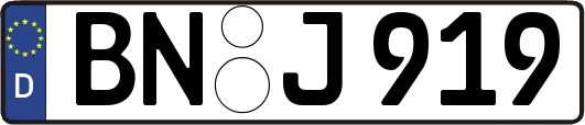 BN-J919